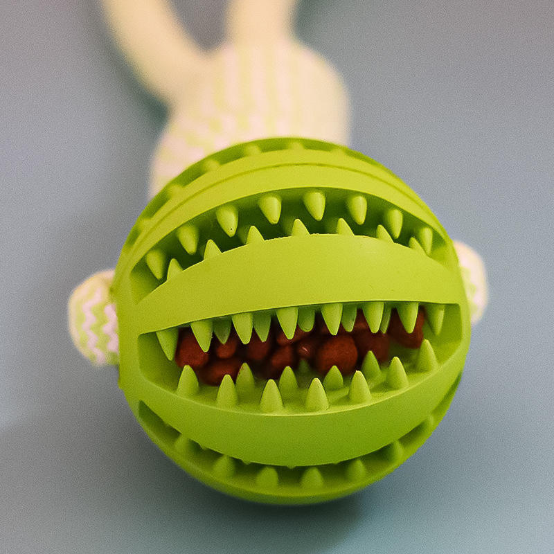 Treat Dispenser Dental Toy