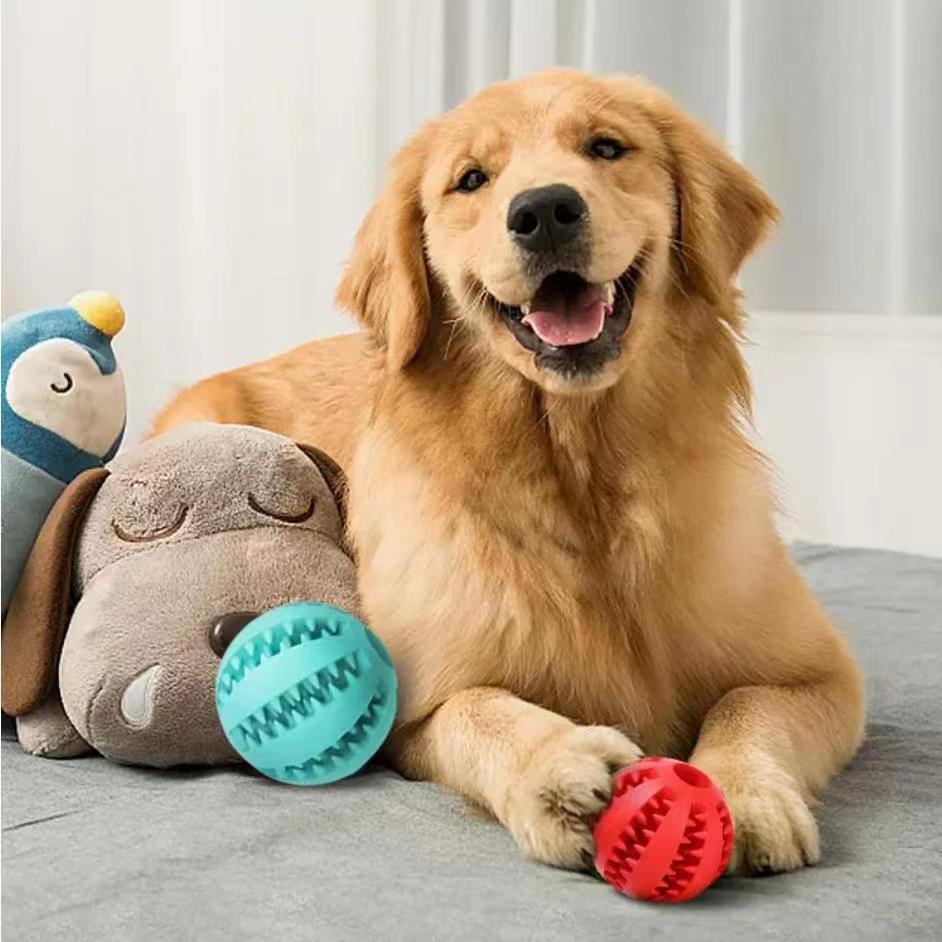 Treat Dispenser Dental Toy