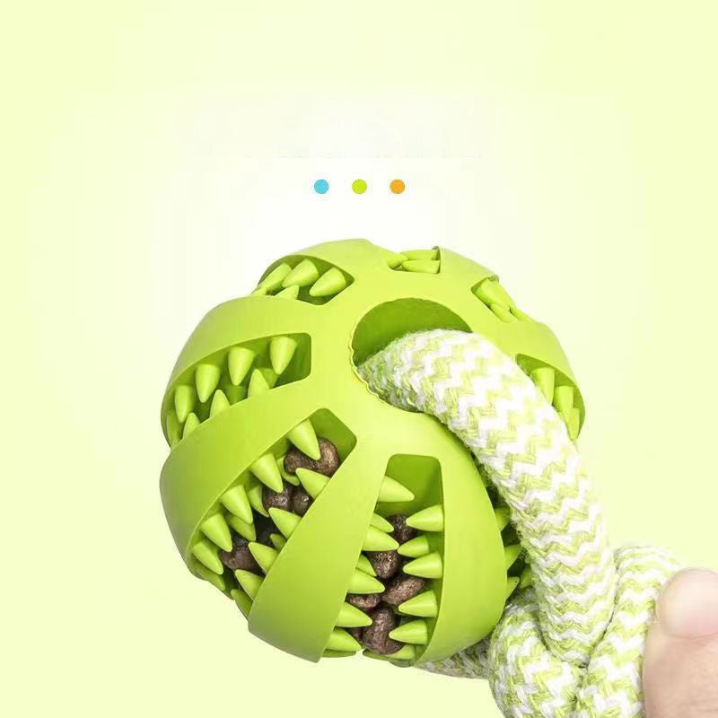 Treat Dispenser Dental Toy