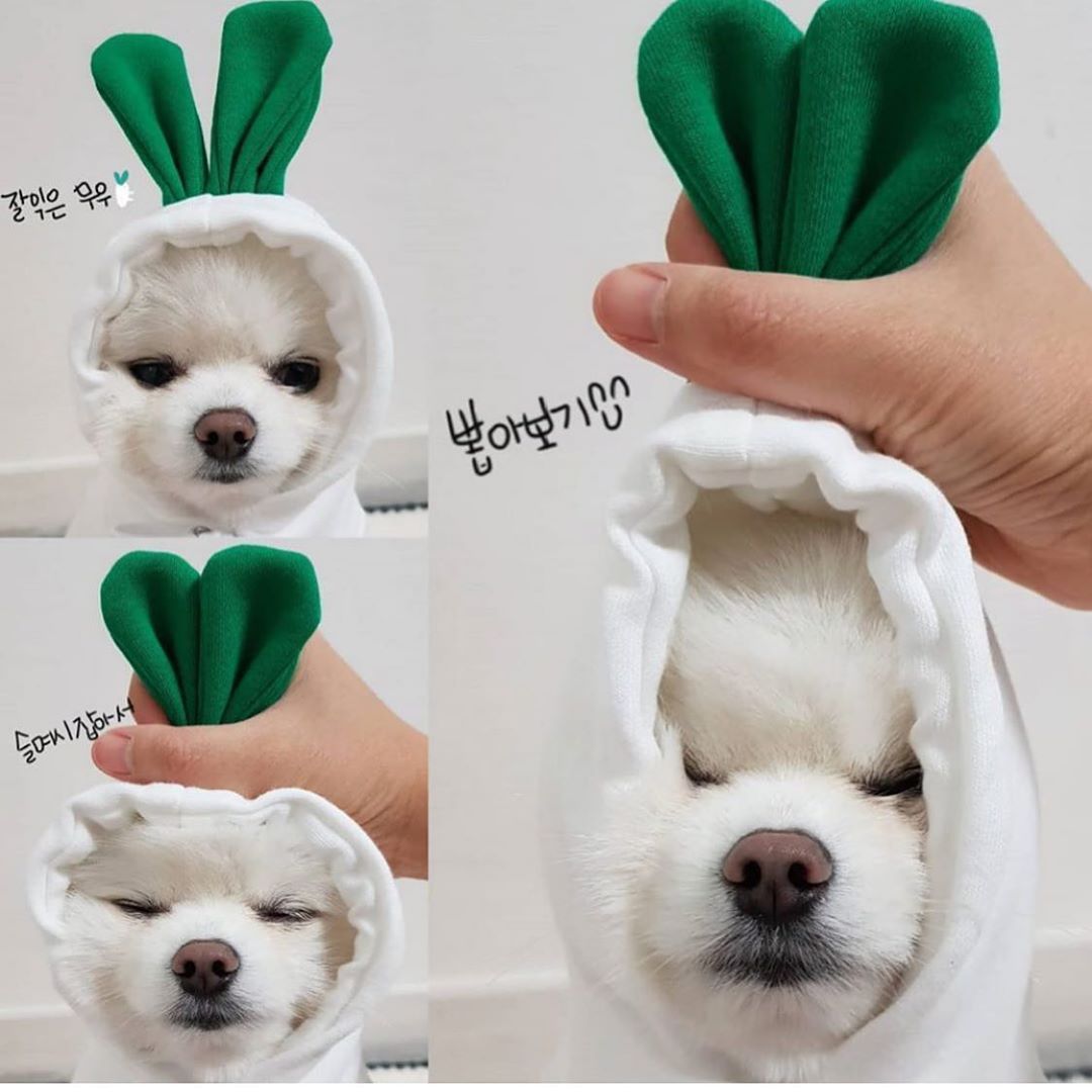 Cozy Fruit Fleece Hoodie