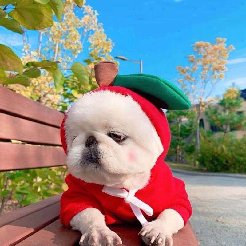 Cozy Fruit Fleece Hoodie