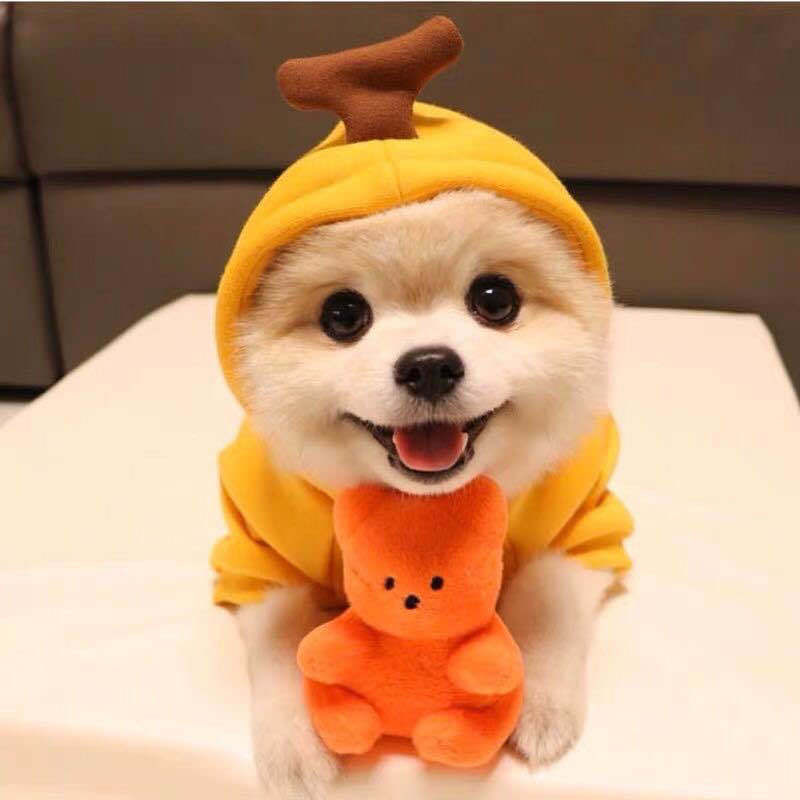 Cozy Fruit Fleece Hoodie