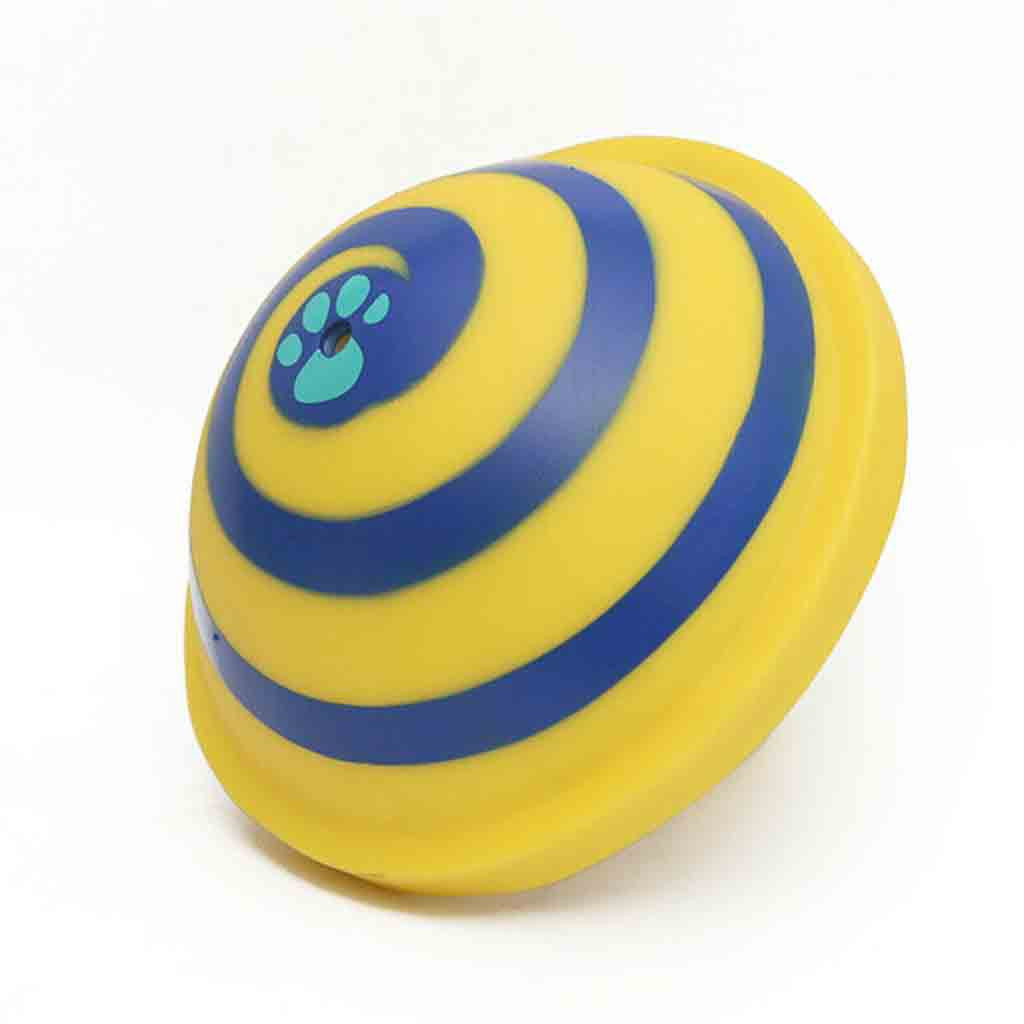 Indoor Interactive Throw & Fetch Toy