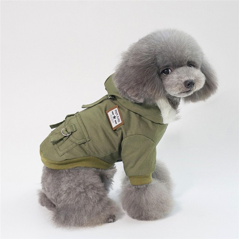 Stylish Winter Outerwear
