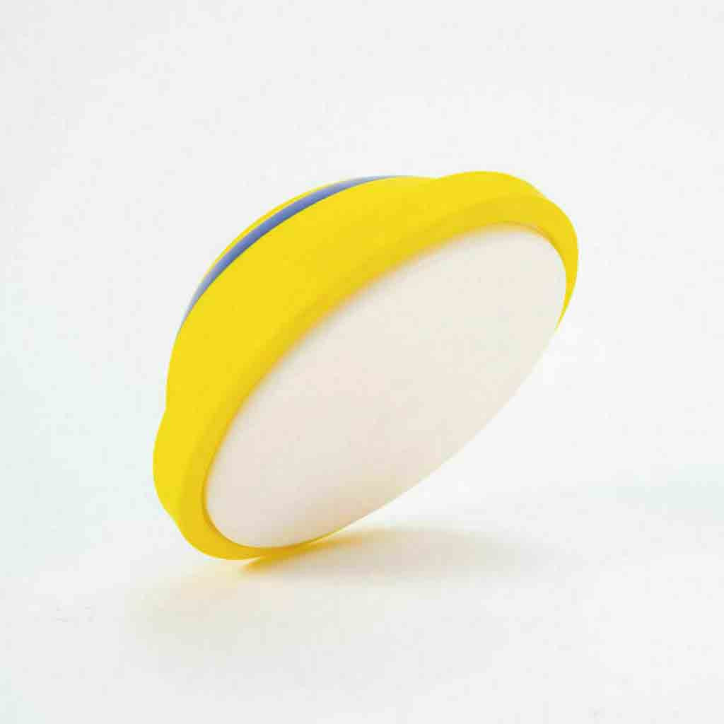Indoor Interactive Throw & Fetch Toy