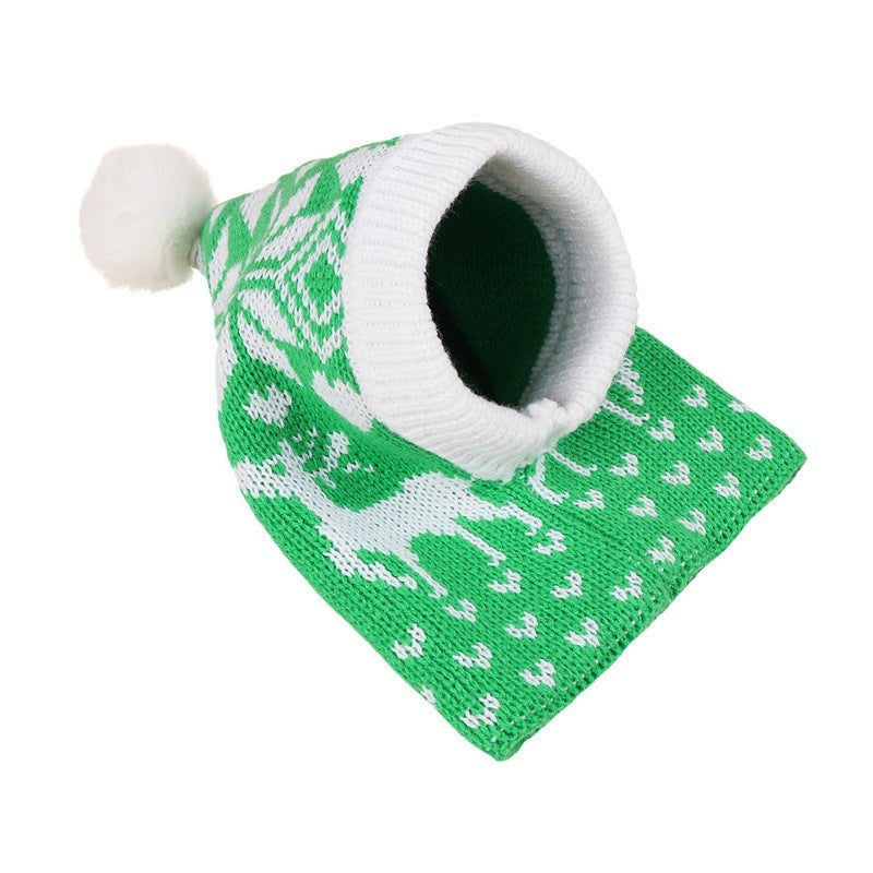 Warm Winter Pet Beanie