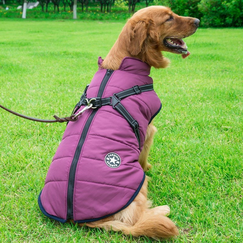 Padded Winter Pet Vest