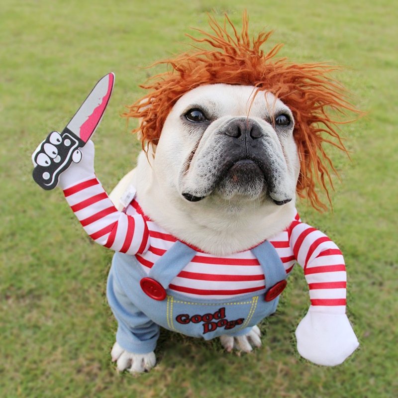 Spooky Cosplay Outfit for Pets