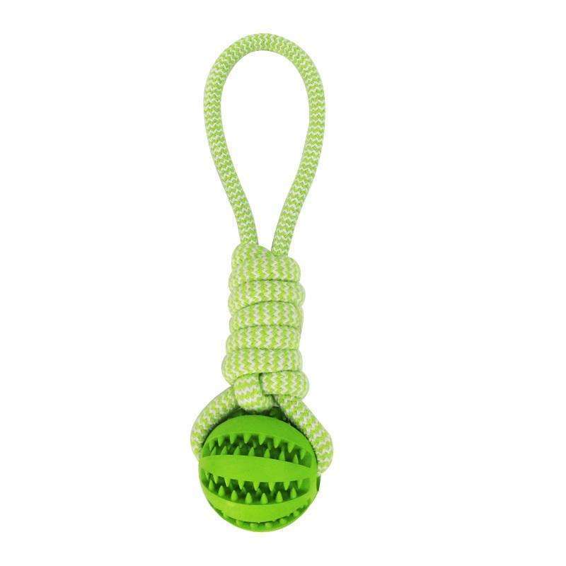 Treat Dispenser Dental Toy