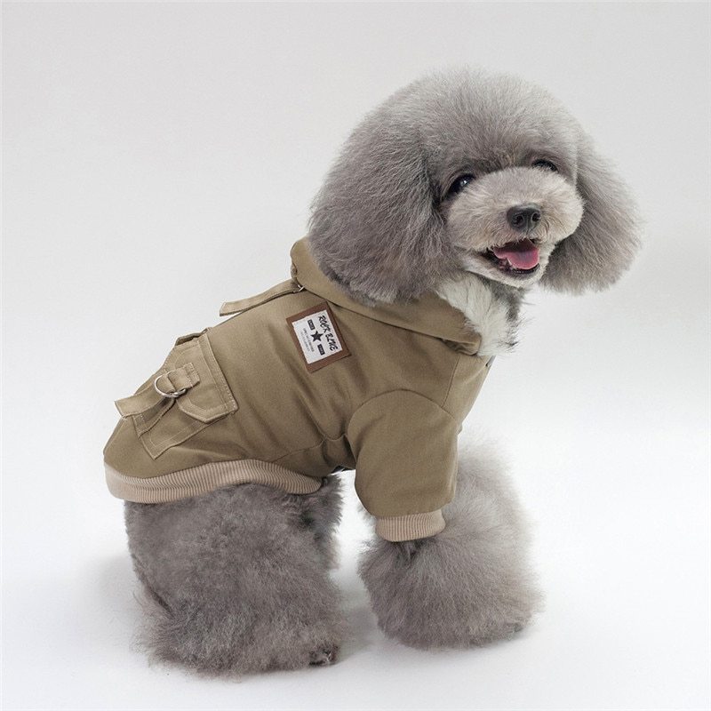 Stylish Winter Outerwear