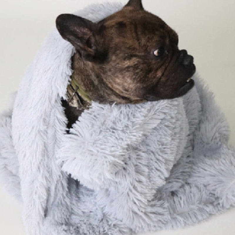 Soft & Cozy for Cats & Dogs