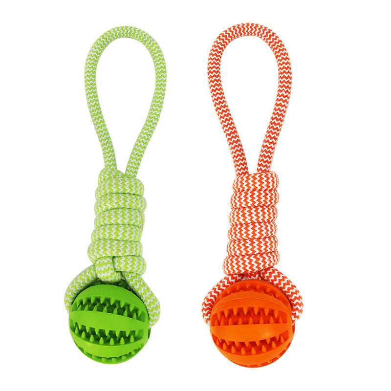 Treat Dispenser Dental Toy