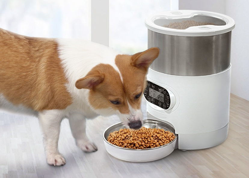 SmartServe Stainless