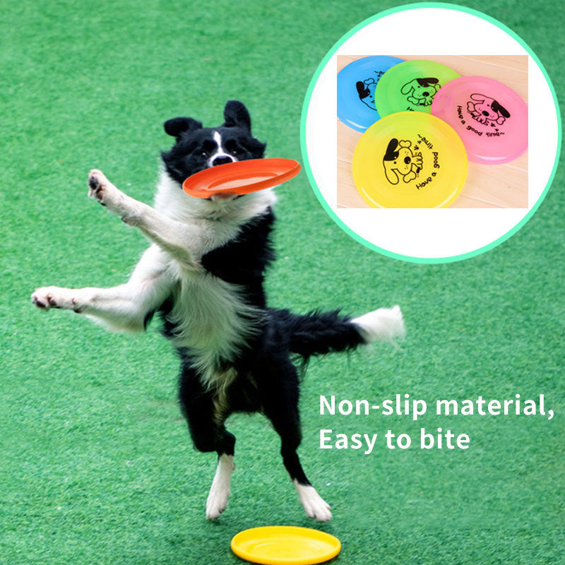 Durable Floatable Chew & Fetch Disc