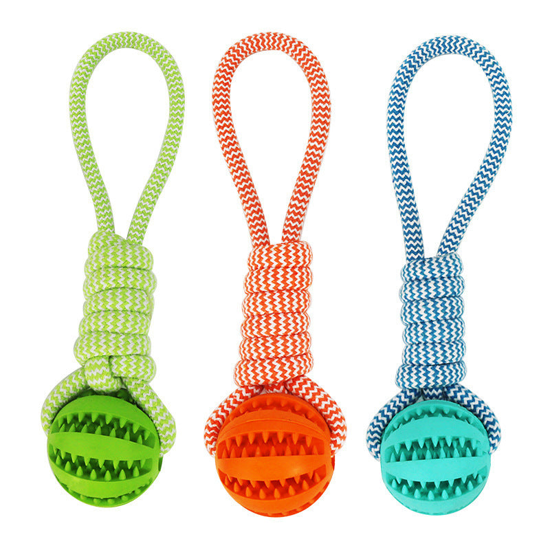 Treat Dispenser Dental Toy