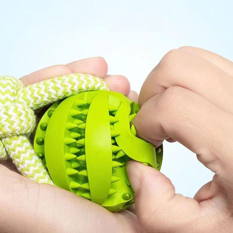 Treat Dispenser Dental Toy