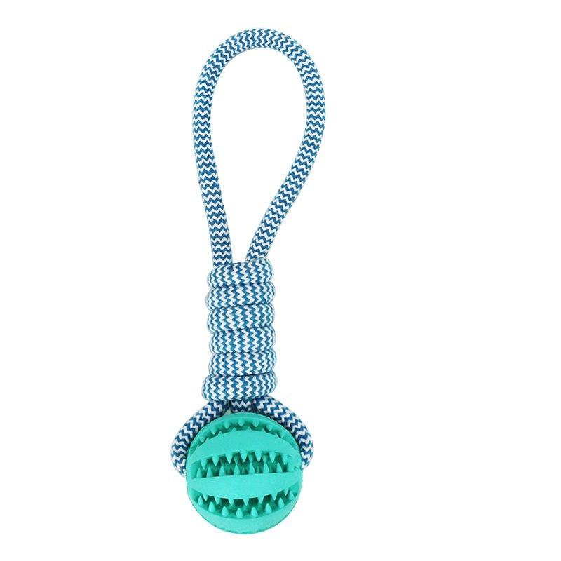 Treat Dispenser Dental Toy