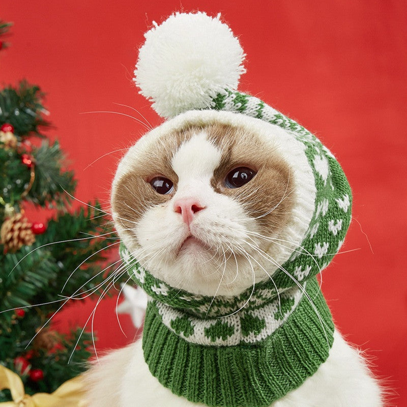 Warm Winter Pet Beanie