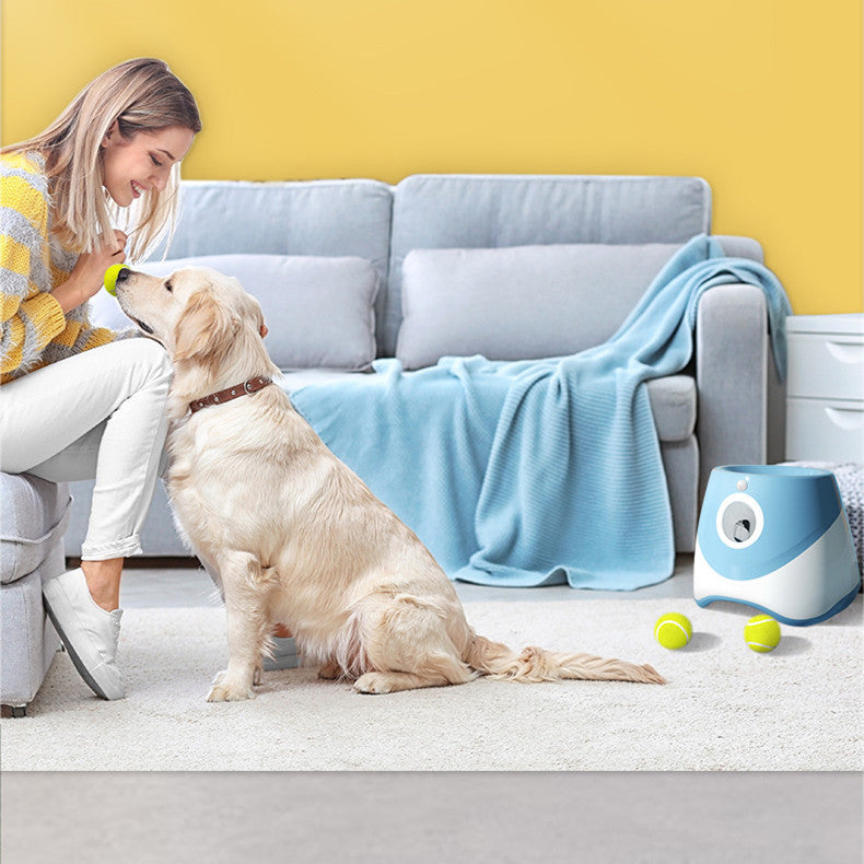 Interactive Fetch & Training Toy