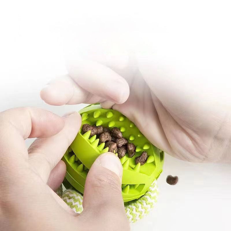 Treat Dispenser Dental Toy