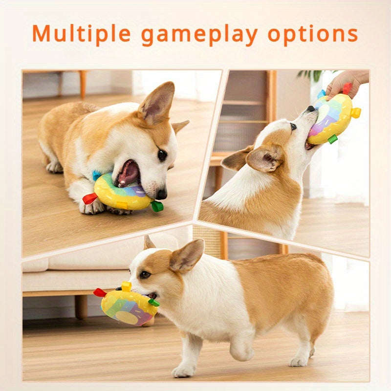 Soft Squeaky Outdoor Frisbee Toy