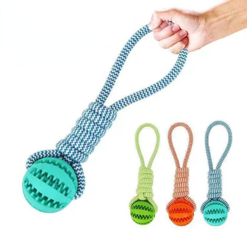 Treat Dispenser Dental Toy