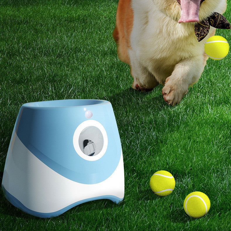 Interactive Fetch & Training Toy
