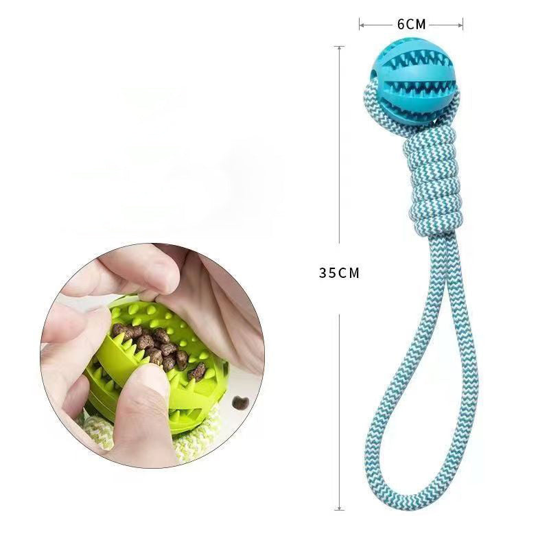 Treat Dispenser Dental Toy