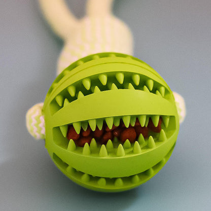 Treat Dispenser Dental Toy
