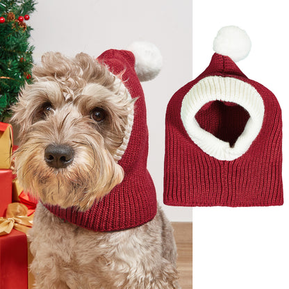 Warm Winter Pet Beanie