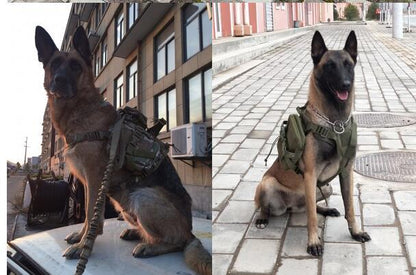 Tactical Outdoor Dog Vest