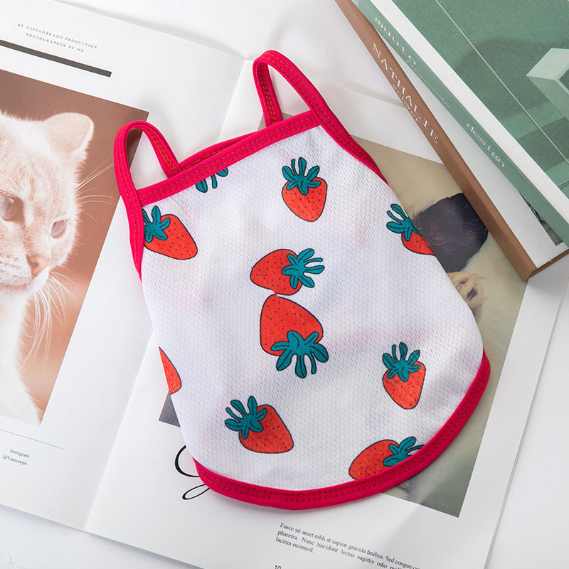 Lightweight for Small Dogs & Cats