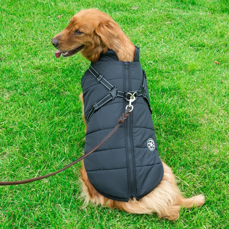 Padded Winter Pet Vest