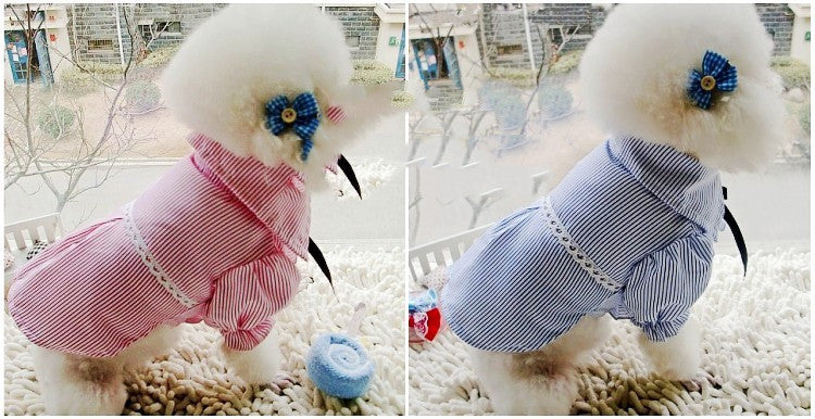 Stylish Bow Tie Edition