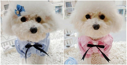 Stylish Bow Tie Edition