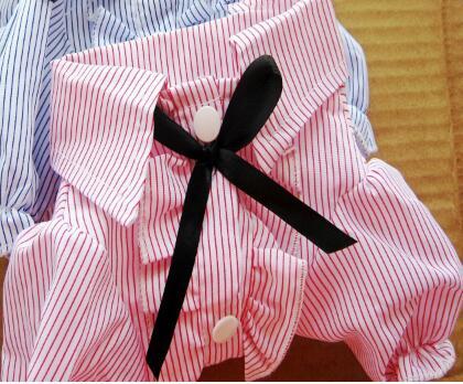 Stylish Bow Tie Edition
