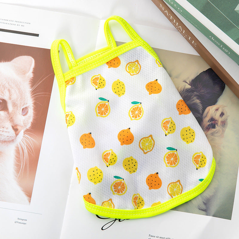 Lightweight for Small Dogs & Cats