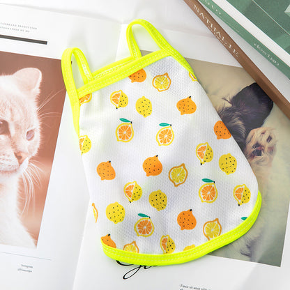Lightweight for Small Dogs & Cats