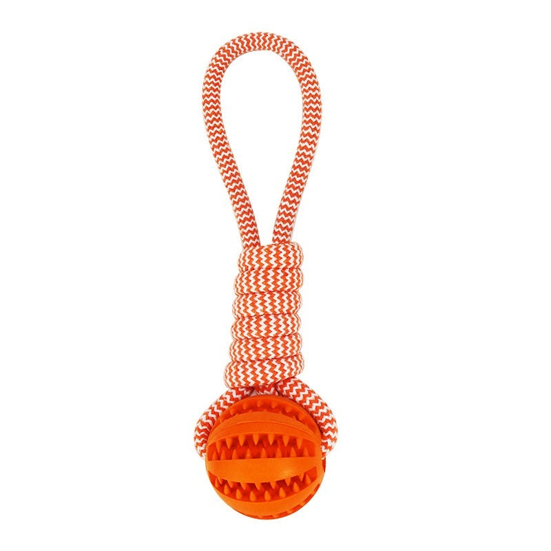 Treat Dispenser Dental Toy