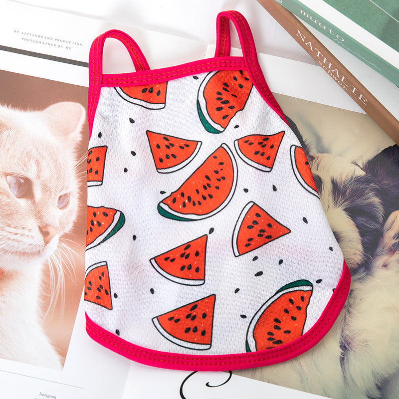 Lightweight for Small Dogs & Cats