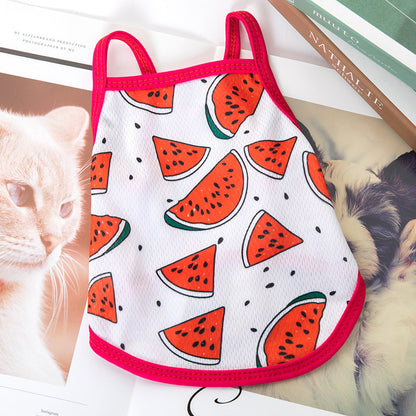 Lightweight for Small Dogs & Cats