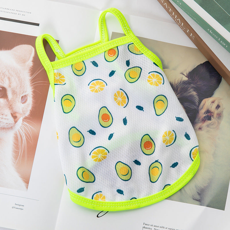Lightweight for Small Dogs & Cats