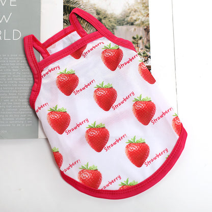 Lightweight for Small Dogs & Cats