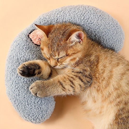 Lunar Lullaby Pet Pillow
