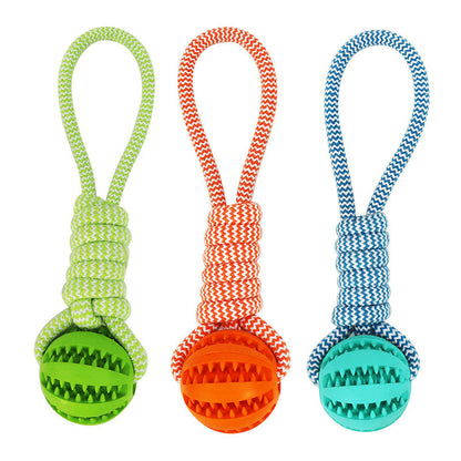 Treat Dispenser Dental Toy