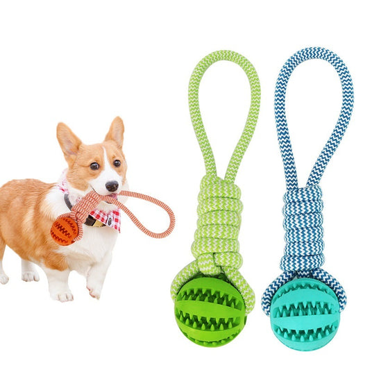 Treat Dispenser Dental Toy