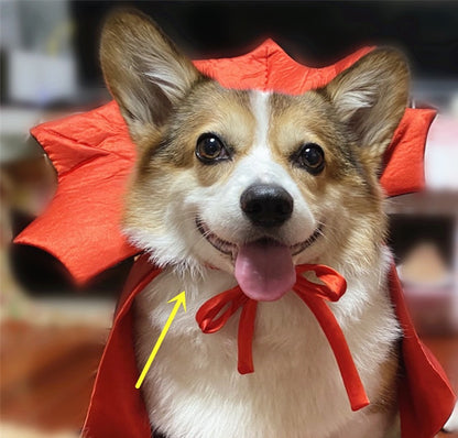 Halloween Cloak with Regal Collar