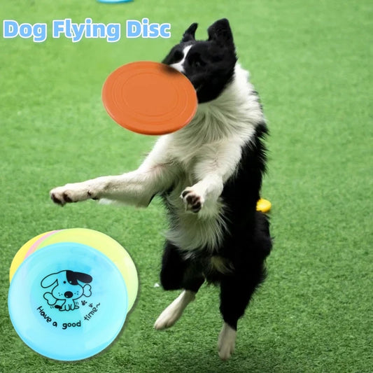 Durable Floatable Chew & Fetch Disc