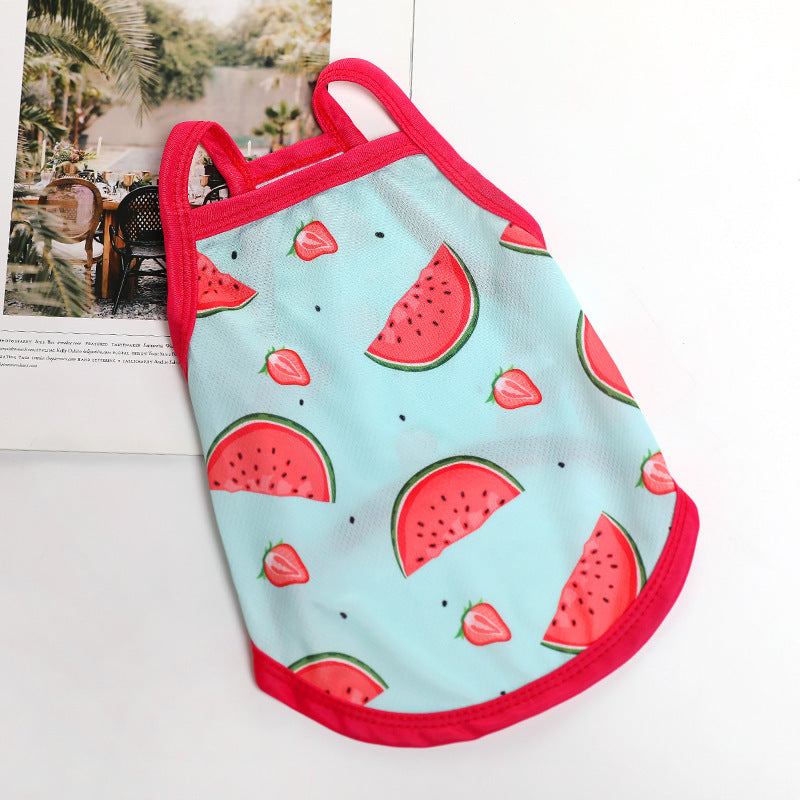 Lightweight for Small Dogs & Cats