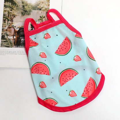 Lightweight for Small Dogs & Cats